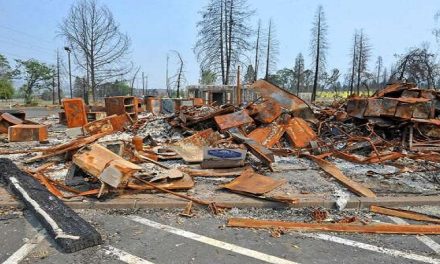 Creatures with a glimpse of terrible disaster, where technology fails!